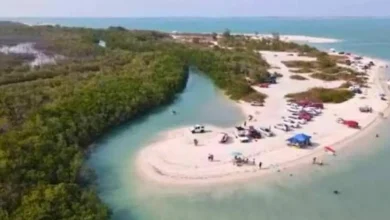 campeche protegerá manglares de laguna de términos con nuevo acuerdo ambiental
