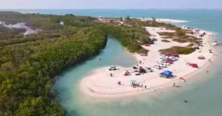 campeche protegerá manglares de laguna de términos con nuevo acuerdo ambiental
