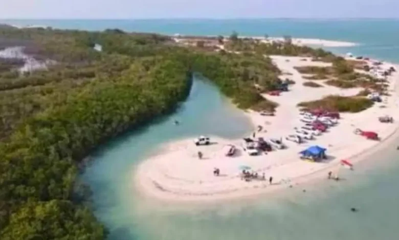 campeche protegerá manglares de laguna de términos con nuevo acuerdo ambiental