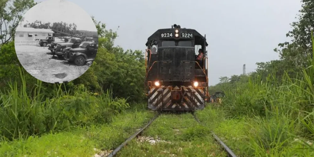 De la gloria forestal a la selva El legado del ferrocarril en Zoh-Laguna (Fotos Redes sociales y cortesía)