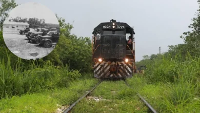 De la gloria forestal a la selva El legado del ferrocarril en Zoh-Laguna (Fotos Redes sociales y cortesía)