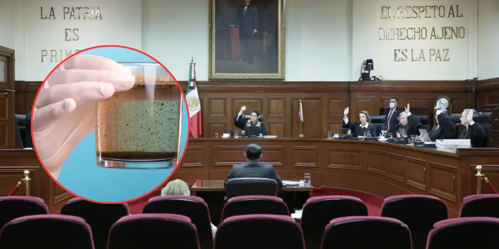Denuncian aguas contaminadas con Glifosato en Hopelchén, SCJN concede amparo (Foto de cortesía)