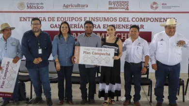Inicia entrega de apoyos ganaderos en Campeche ¿Cómo registrarse? (Foto de cortesía)
