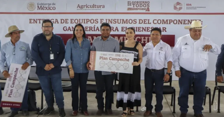 Inicia entrega de apoyos ganaderos en Campeche ¿Cómo registrarse? (Foto de cortesía)