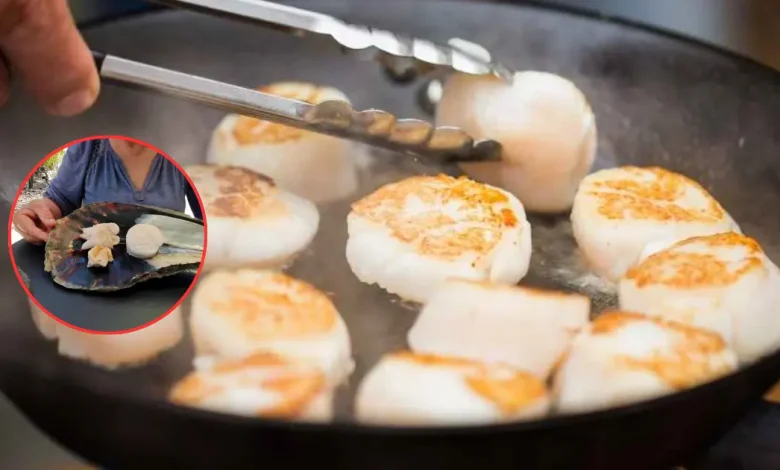 callo de hacha, el tesoro del mar que conquista la gastronomía mexicana