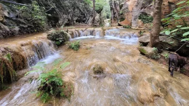 cañón del caracol, el impresionante teatro natural de luz y sombras escondido en sonora