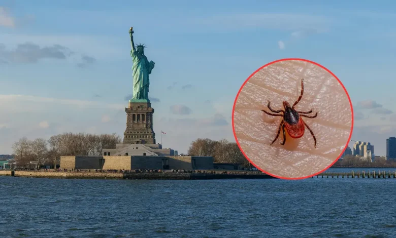 confirman caso del virus bourbon en nueva york enfermedad es transmitida por garrapatas