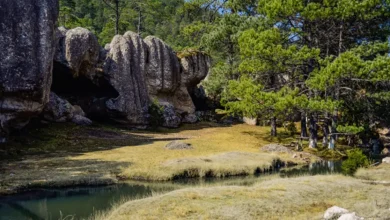 cuevas de bernal en durango el refugio del “rayo de sinaloa” convertido en destino ecoturístico