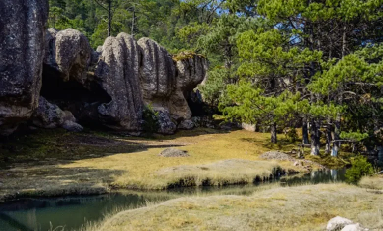 cuevas de bernal en durango el refugio del “rayo de sinaloa” convertido en destino ecoturístico
