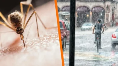 el error que multiplica los mosquitos durante la temporada de lluvias
