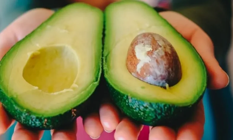 Se necesita reabrir frontera al aguacate mexicano a la brevedad (Foto de internet)