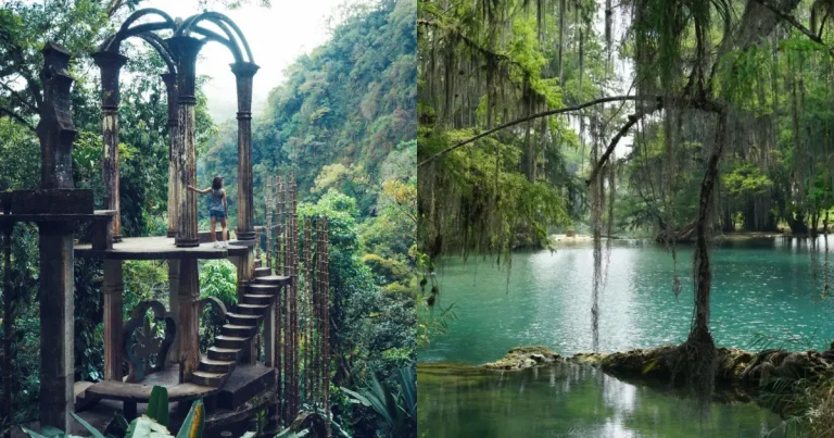 Xilitla te hace viajar a otro mundo ¿Cómo llegar? (Fotos de internet y Unsplash)