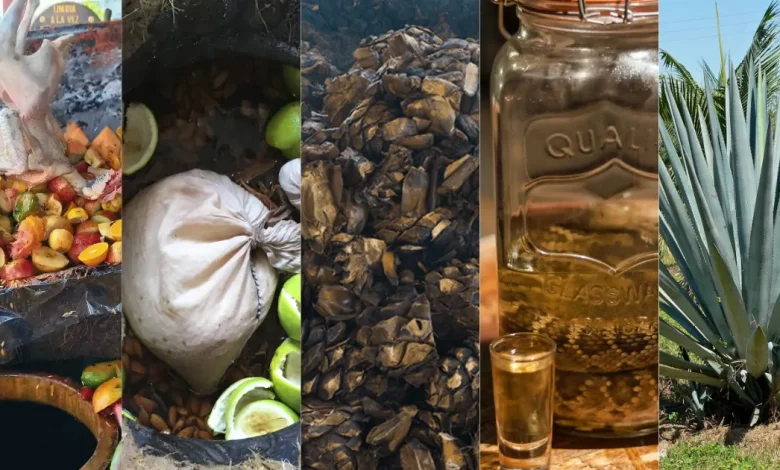 La armonía del agave destilados artesanales en la mesa gourmet (Fotos Mariana CastilloFood & Wine en Español, Wikipedia, Cortesía, Visita Puerto Vallarta y Oaxaca Mezcal)