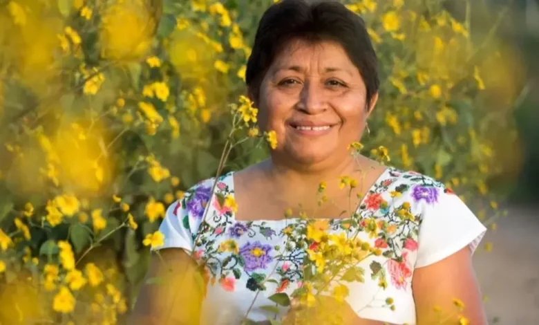 leydy pech, la apicultora maya que frenó a monsanto en méxico