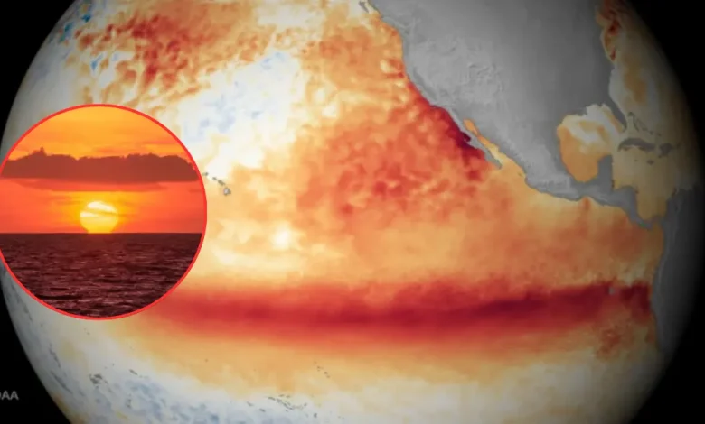 océanos del planeta alcanzan nueva temperatura récord mientras el niño se intensifica