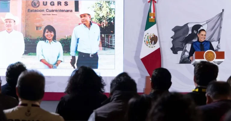 sonora reabre frontera con estados unidos para exportación de ganado sheinbaum
