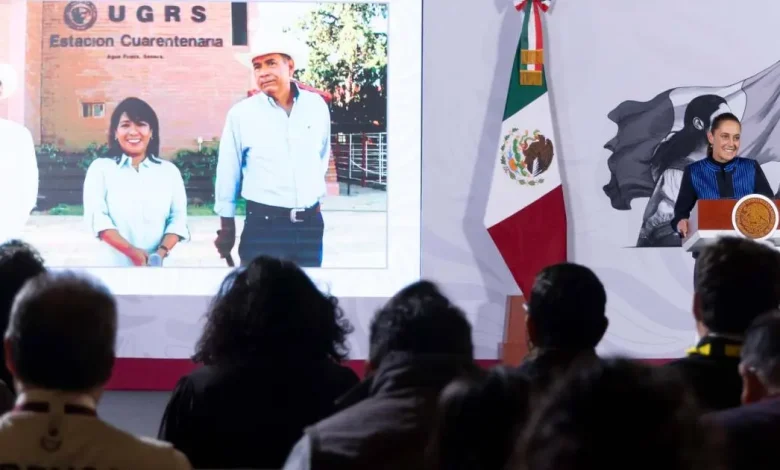 sonora reabre frontera con estados unidos para exportación de ganado sheinbaum