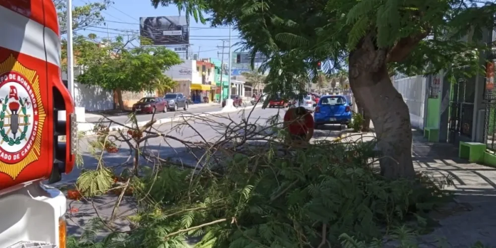 atlas de riesgo de campeche avanza hasta 35%