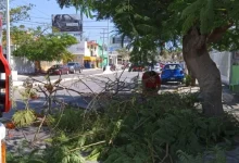 atlas de riesgo de campeche avanza hasta 35%