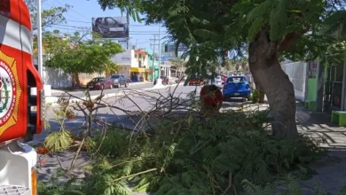 atlas de riesgo de campeche avanza hasta 35%