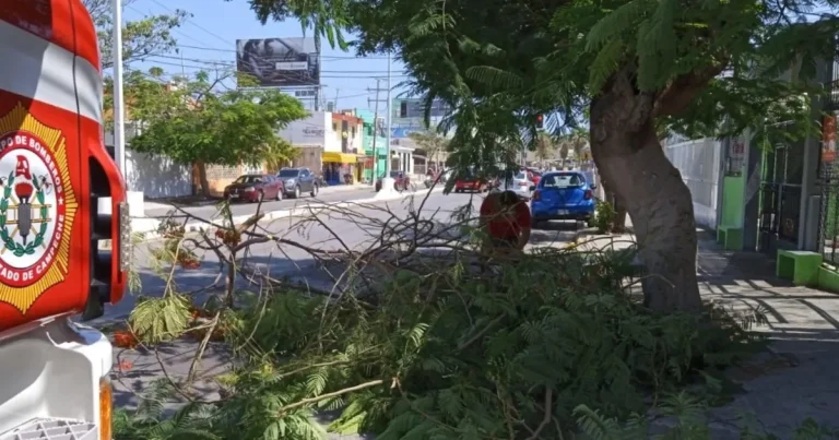 atlas de riesgo de campeche avanza hasta 35%