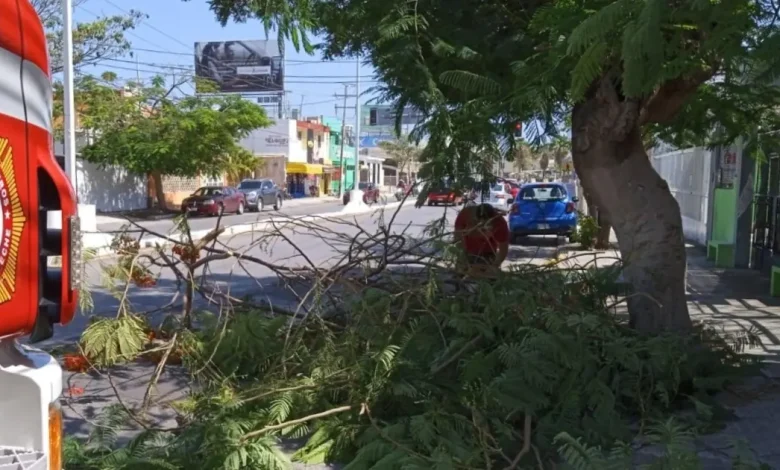 atlas de riesgo de campeche avanza hasta 35%