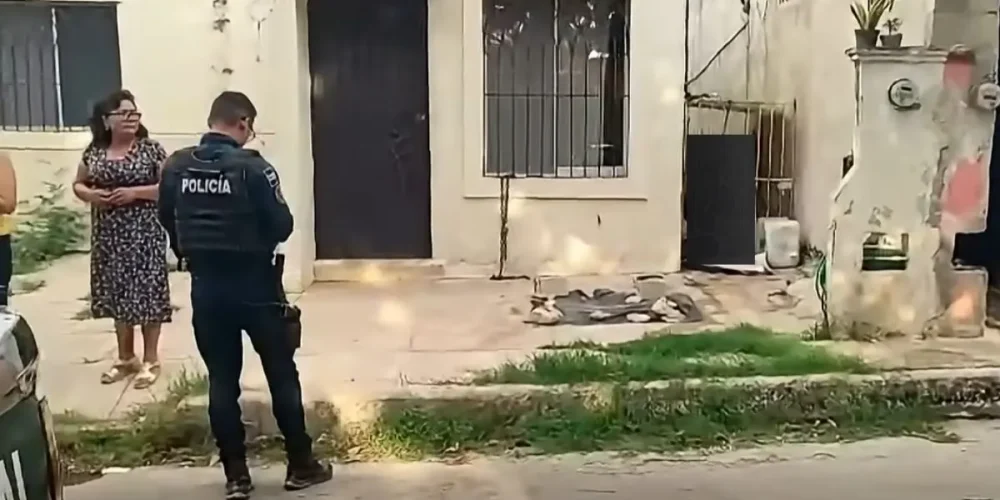 muere una perrita pitbull tras quedar atrapada con su cadena en campeche
