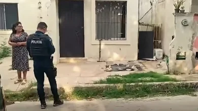 muere una perrita pitbull tras quedar atrapada con su cadena en campeche