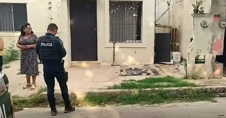 muere una perrita pitbull tras quedar atrapada con su cadena en campeche