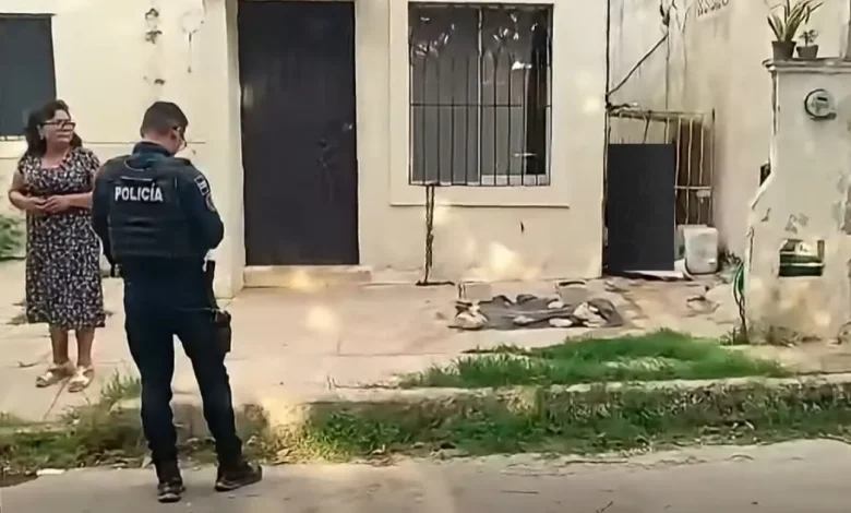 muere una perrita pitbull tras quedar atrapada con su cadena en campeche