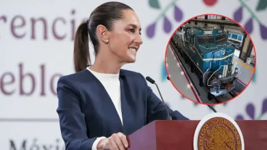 Al 67% construcción del Tren Maya de Carga, confirmó Claudia Sheinbaum (Fotos de internet)