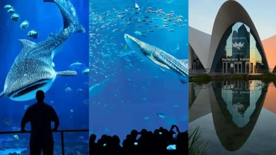 Los tres acuarios más impresionantes del mundo (Fotos de internet)