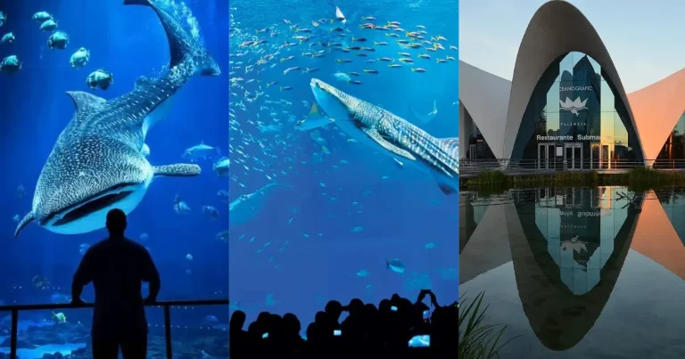 Los tres acuarios más impresionantes del mundo (Fotos de internet)