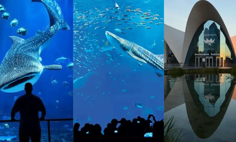 Los tres acuarios más impresionantes del mundo (Fotos de internet)