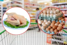 Caída del pollo y huevo ¿Cuándo afectará al consumidor? (Fotos de internet)