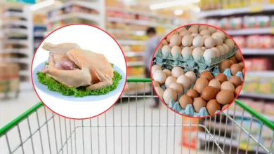 Caída del pollo y huevo ¿Cuándo afectará al consumidor? (Fotos de internet)