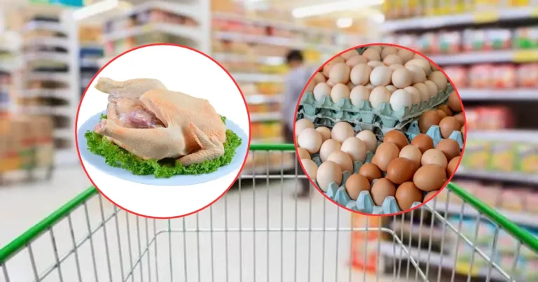Caída del pollo y huevo ¿Cuándo afectará al consumidor? (Fotos de internet)