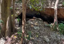 denuncian abandono de las grutas de xtamkumbilxunaan