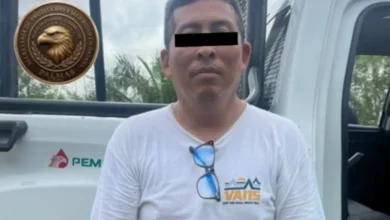 detienen a hombre por abandono de gatitos en campeche