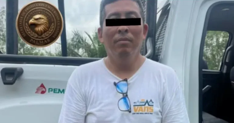 detienen a hombre por abandono de gatitos en campeche