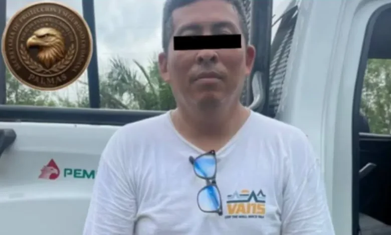 detienen a hombre por abandono de gatitos en campeche