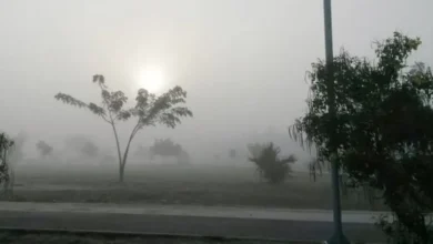 Comienza heladez en Campeche, fin de semana con lluvias (Foto de internet)
