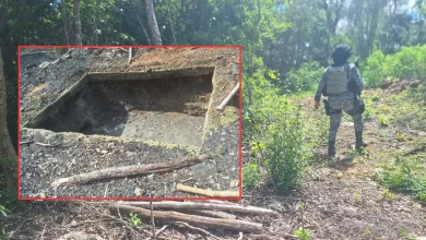 Profepa clausura hornos de carbón vegetal en Campeche (Foto de Profepa)