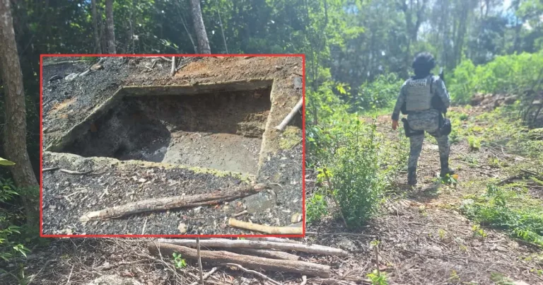 Profepa clausura hornos de carbón vegetal en Campeche (Foto de Profepa)