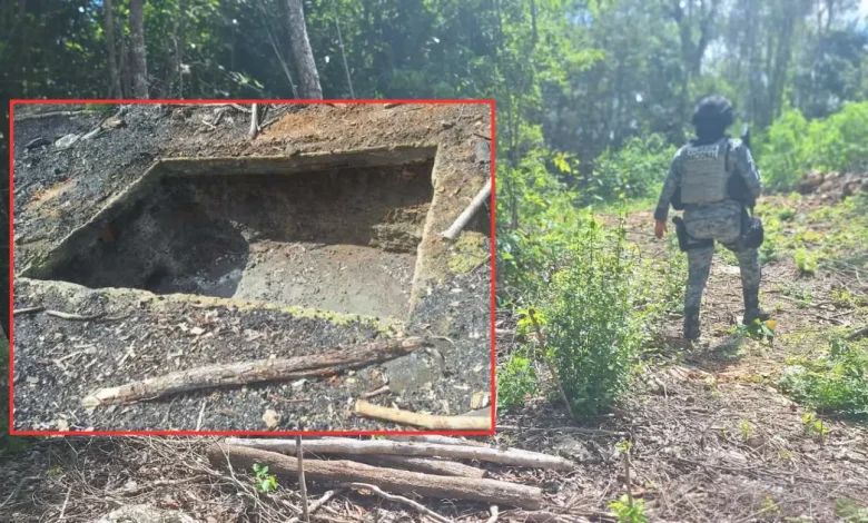 Profepa clausura hornos de carbón vegetal en Campeche (Foto de Profepa)
