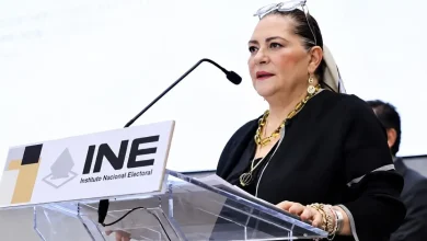 anuncia guadalupe taddei su renuncia al ine