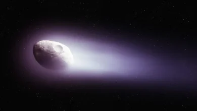 el cometa halley y el deslumbrante origen de las oriónidas
