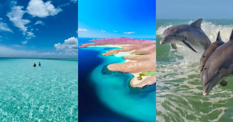 Tres islas de México perfectas para tus próximas vacaciones (Fotos de internet y redes sociales)