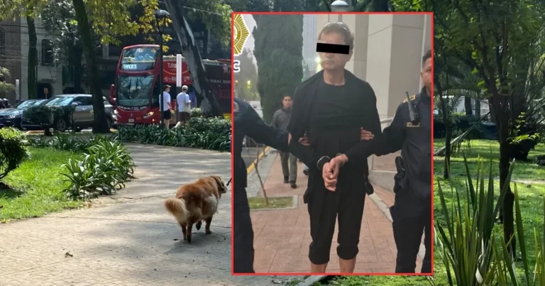 Detienen a presunto envenenador de perros en Condesa, CDMX (Fotos de Daniel Escobar y redes sociales)