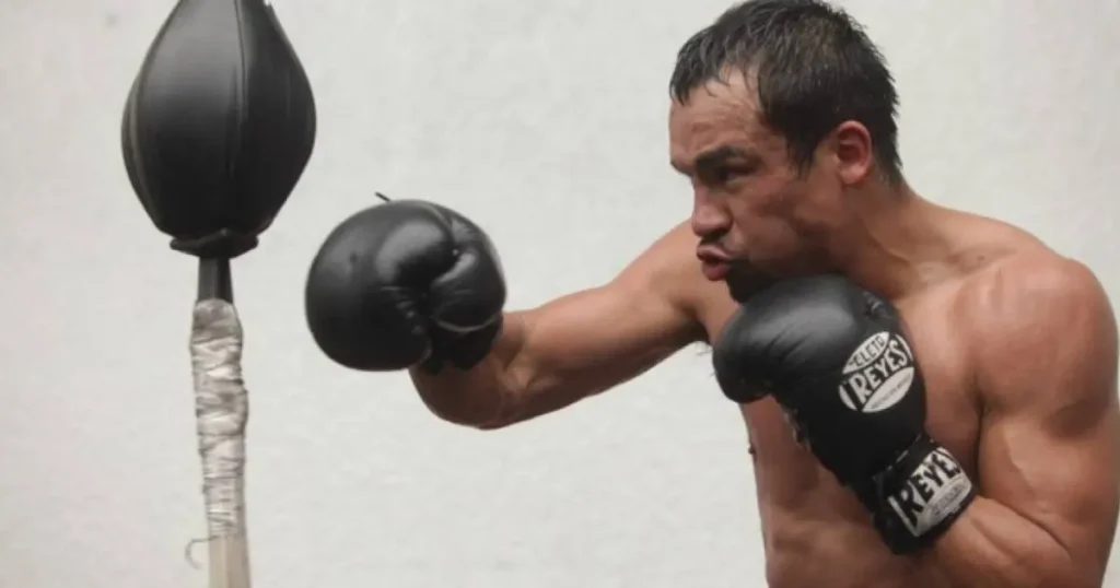 Juan Manuel Márquez podría volver al ring 12 años después